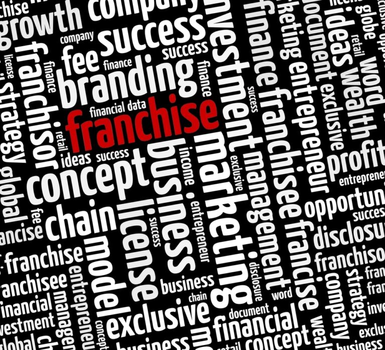 Le bilan général de la franchise en France