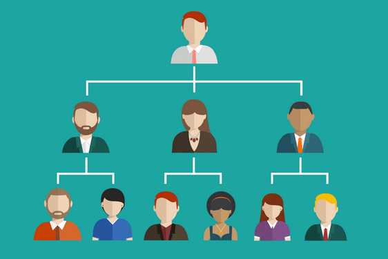 Les différents types de structures d'une entreprise